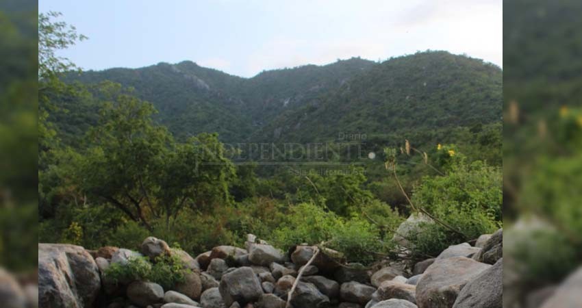 Buscan a extranjero desaparecido en Las Pozas de Los Cabos