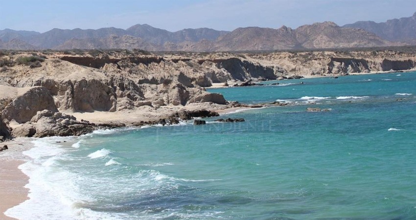 Encuentran cuerpo flotando en playa de Cabo Pulmo