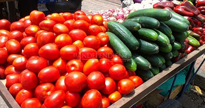 Con la nueva normalidad, disminuyó el ambulantaje: Inspección Fiscal