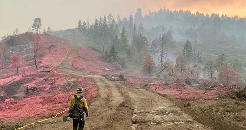 Incendios no han parado en un año y continúa destrucción el planeta
