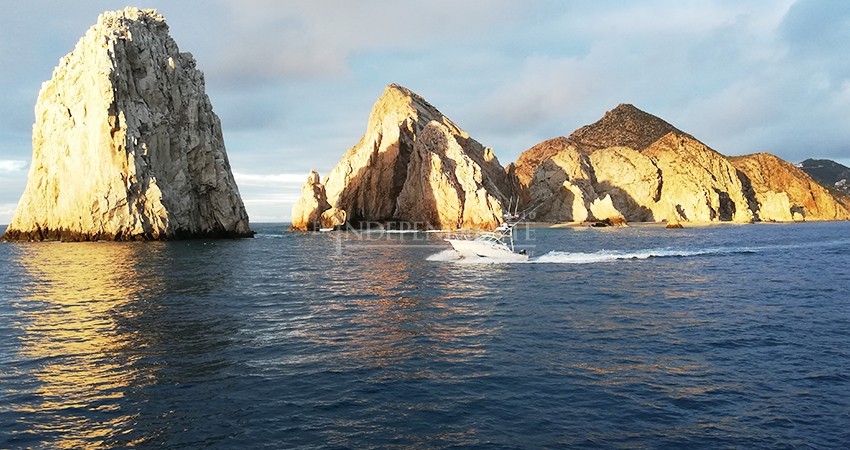 Ya hay equipos inscritos al Bisbee’s Black And Blue 2020