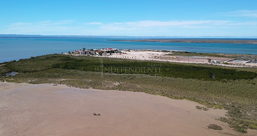 No estiman ONG’s cambios de ruta con nueva titular de Semarnat