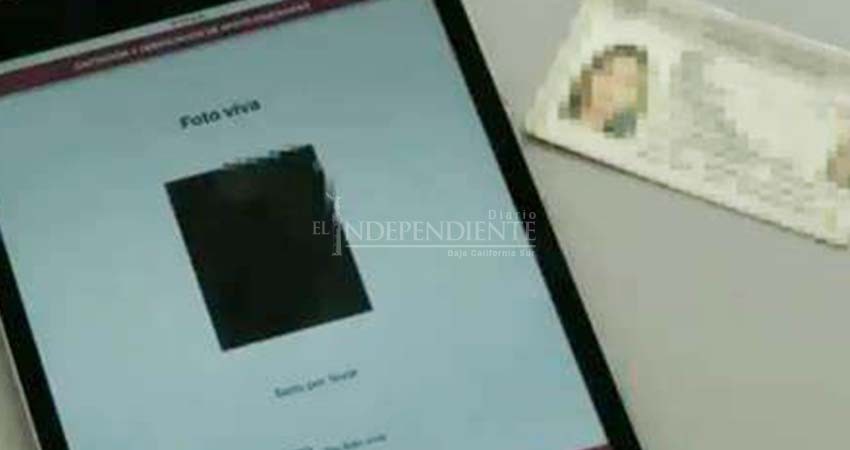 Candidatos independientes reunirán apoyos por medio de aplicación digital