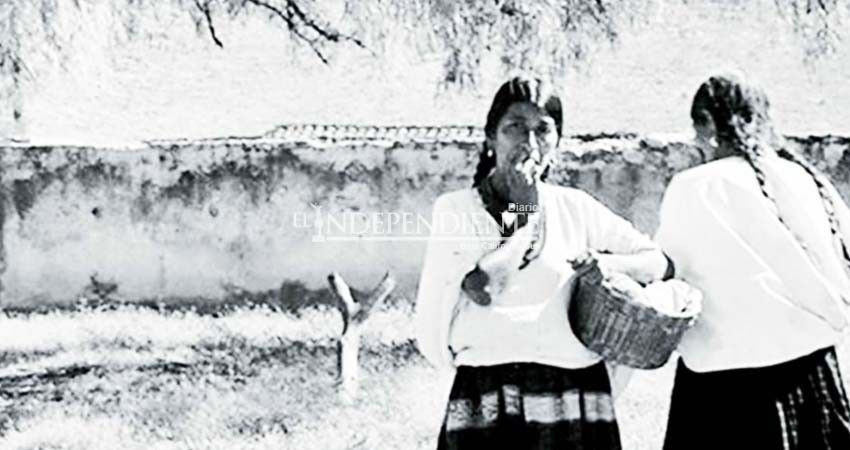 Revelan secretos del acervo de la fotógrafa e investigadora Ruth Lechuga