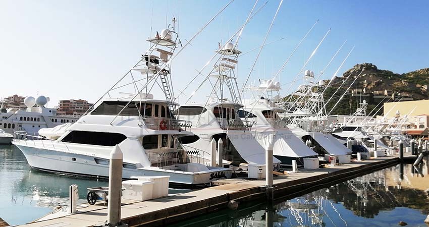 Pesca Deportiva: Vital para entrada de divisas a BCS