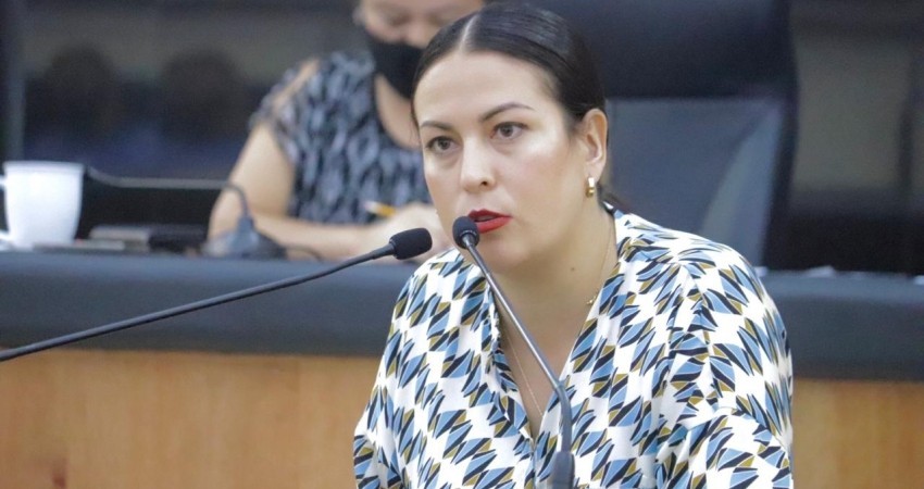 No debe paralizar sus actividades el Congreso del Estado: Milena Quiroga