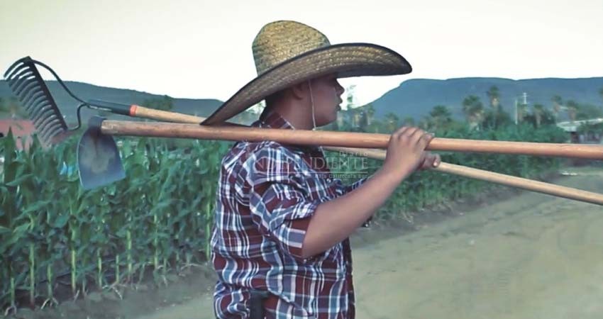 Realizan video musical en la UABCS y lo tachan de “narcocorrido”