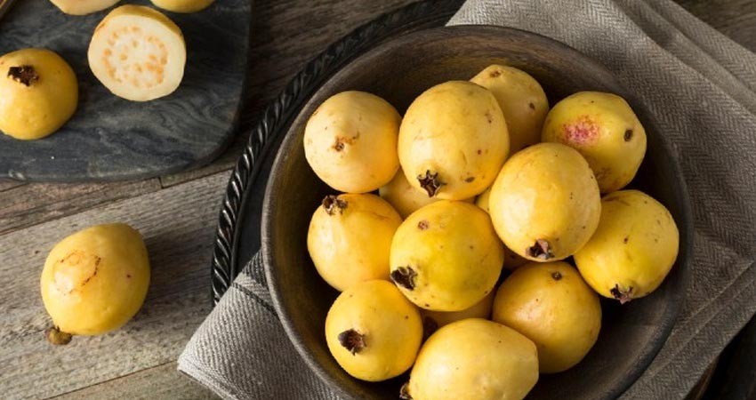 ¿Por qué es bueno comer guayaba? Estos son los beneficios ¿Por qué es bueno comer guayaba? Estos son los beneficios