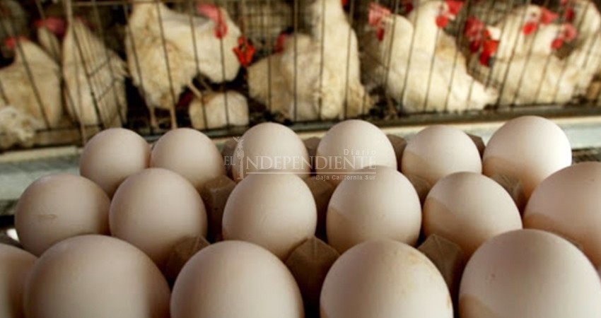 La pandemia multiplicó la importancia del sector primario: Omar Escobedo