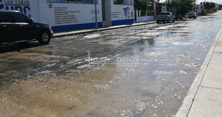 Basura “tapona” drenaje de colonia Matamoros en CSL Basura “tapona” drenaje de colonia Matamoros en CSL