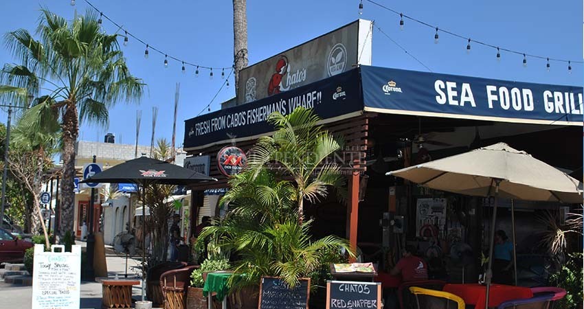 Muchos negocios han relajado medidas sanitarias: Pulido