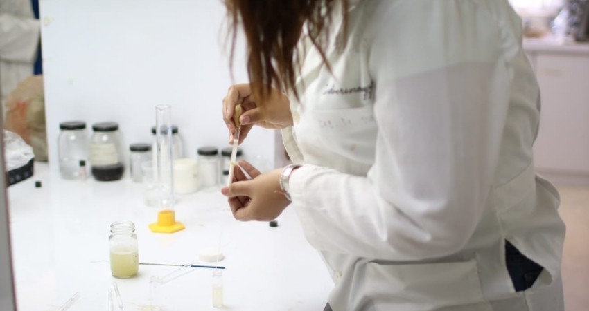 Ingresan académicos de la UABCS al Sistema Nacional de Investigadores