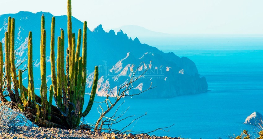 Zona norte de Baja California Sur, una oportunidad turística Zona norte de Baja California Sur, una oportunidad turística