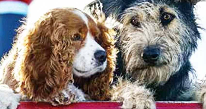 Disney+ llega para quedarse Disney+ llega para quedarse