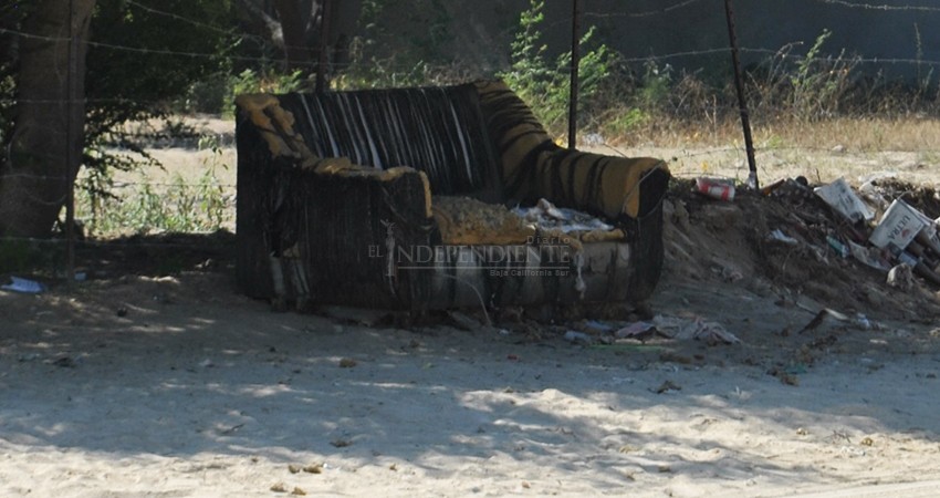 Piden vecinos de la colonia Ejidal retiro de ramas y cacharros Piden vecinos de la colonia Ejidal retiro de ramas y cacharros