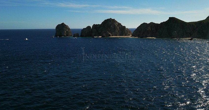 En Los Cabos, el avistamiento de ballenas deberá ser a una milla de la costa En Los Cabos, el avistamiento de ballenas deberá ser a una milla de la costa