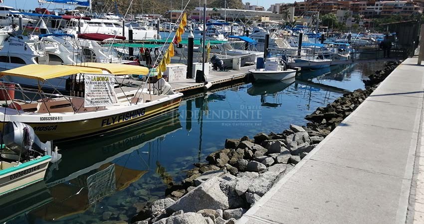 Caos marítimo en Recinto Portuario de Cabo San Lucas Caos marítimo en Recinto Portuario de Cabo San Lucas