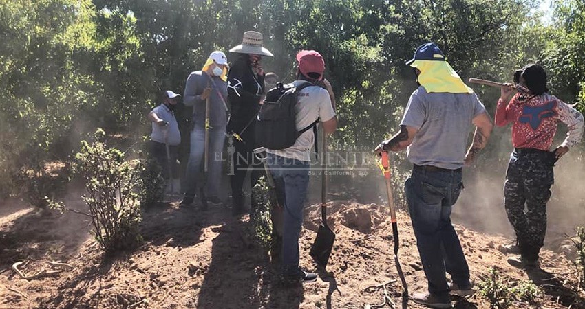 Que no se detenga la búsqueda de desaparecidos, colectivos hoy requieren apoyo 