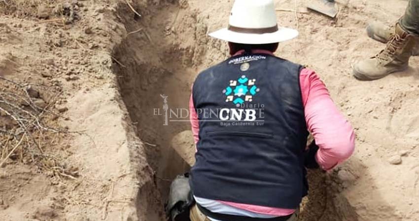 En 2020, ciudadanos organizados identificaron restos de 8 personas en fosas clandestinas de BCS En 2020, ciudadanos organizados identificaron restos de 8 personas en fosas clandestinas de BCS