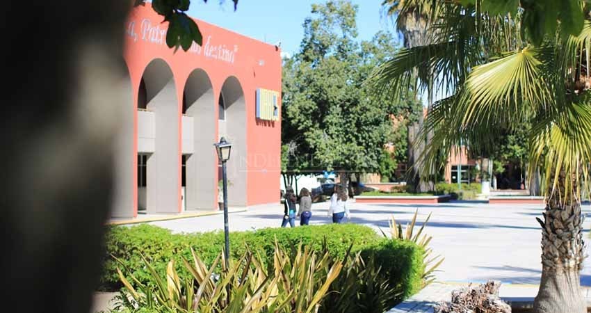 Este próximo lunes UABCS reanuda atención administrativa en modalidad a distancia