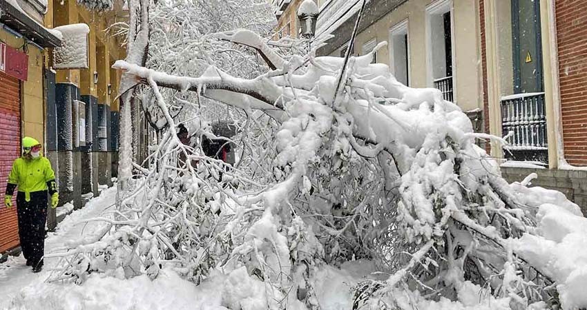 Tormenta 'Filomena' sepulta a España bajo la nieve; hay 3 muertos