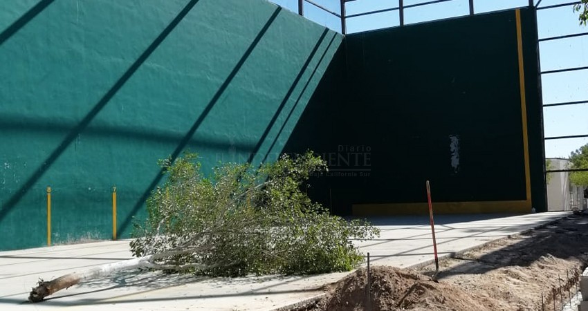 Con sus propios recursos, reactiva espacios públicos la Asociación de Frontón de BCS