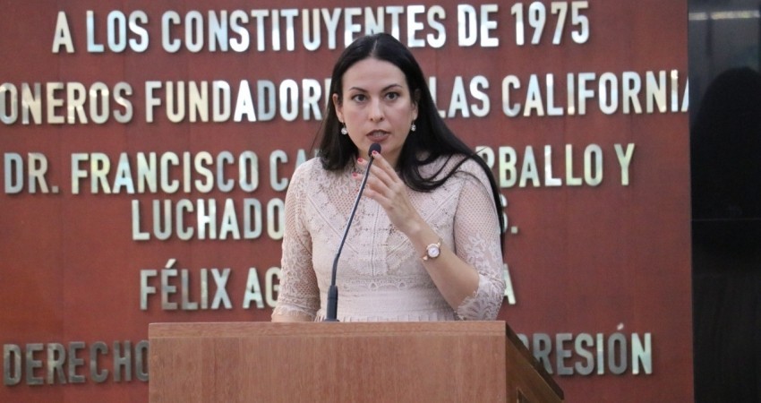 SCJN ratificó blindaje a BCS de minería tóxica y no se ha cumplido: Dip Quiroga Romero