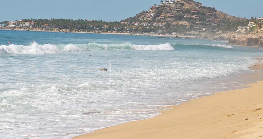 Recomienda Zofemat no visitar playas con fines recreativos, ante repunte de casos Covid-19