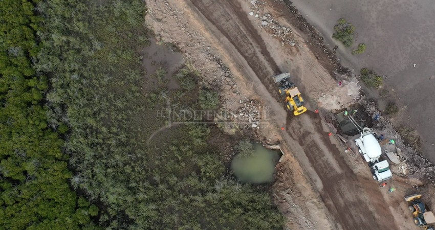 Obras de SCT secan manglares rumbo a Pichilingue, denuncian ciudadanos Obras de SCT secan manglares rumbo a Pichilingue, denuncian ciudadanos