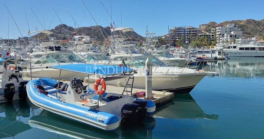 API de CSL, sin presupuesto oficial para 2021 API de CSL, sin presupuesto oficial para 2021