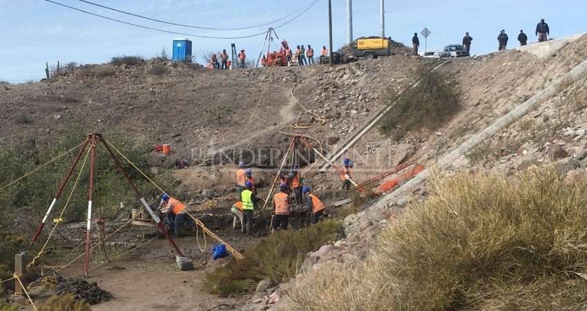 Sigue la denuncia por daño a manglares en Pichilingue; empresa dice tener “todos los requerimientos”