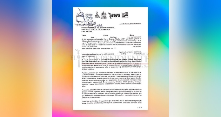 Colectivas LGBT+ piden al IEE que acate acciones afirmativas acordadas por el INE Colectivas LGBT+ piden al IEE que acate acciones afirmativas acordadas por el INE