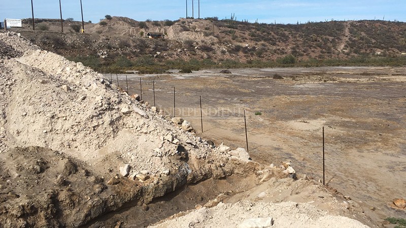 Costa Salvaje integra expediente por daño a manglares en carretera a Pichilingue