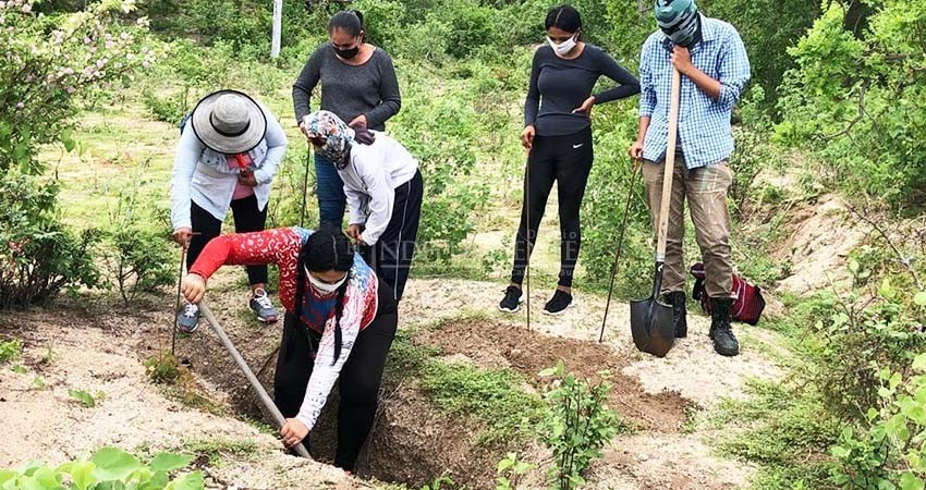 Invitan colectivos de búsqueda a integrarse a brigadas de rastreo de desaparecidos