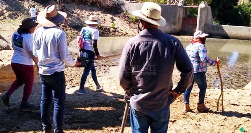 Aún con la pandemia, crisis de desapariciones ha sido constante: colectivo de búsqueda