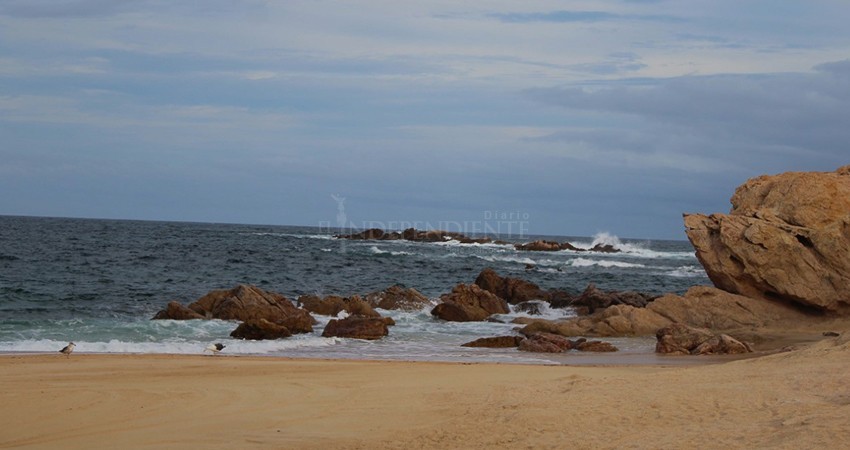 Operativos para medidas de bioseguridad en playas sólo se realizan los fines de semana Operativos para medidas de bioseguridad en playas sólo se realizan los fines de semana