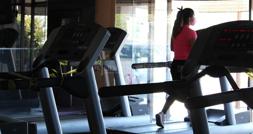 Estamos listos para reactivarnos, necesitamos trabajar: Entrenador de gimnasio