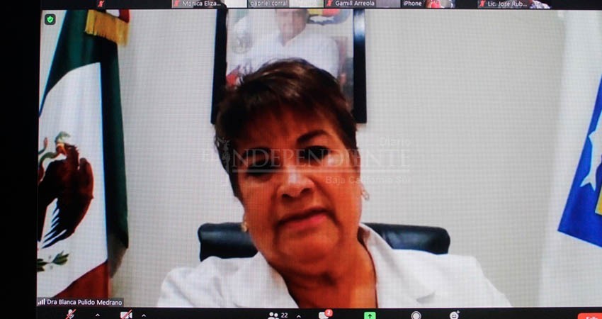 Apoyo de iniciativa privada, fundamental para hacer frente a la pandemia: Coepris