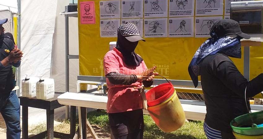 Verifica STPS movilización con seguridad para miles de jornaleros agrícolas