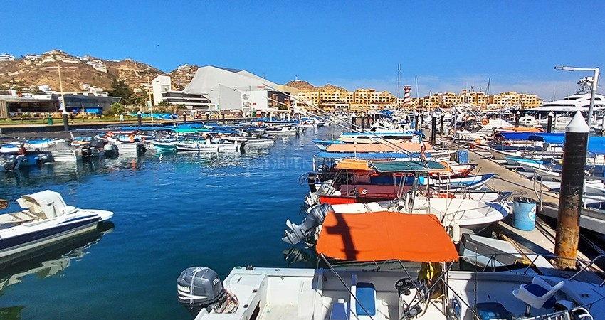 Caos en el puerto de Cabo San Lucas Caos en el puerto de Cabo San Lucas