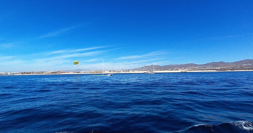 Sin piedad, barcos pesqueros foráneos arrasan con las costas de Los Cabos Sin piedad, barcos pesqueros foráneos arrasan con las costas de Los Cabos