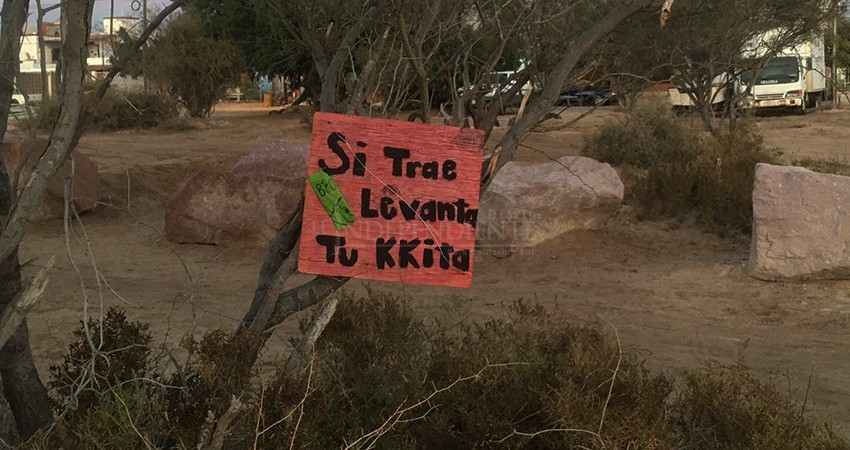 Visita el manglar de El Conchalito, pero llévate tu basura y la de tu perro: invitan