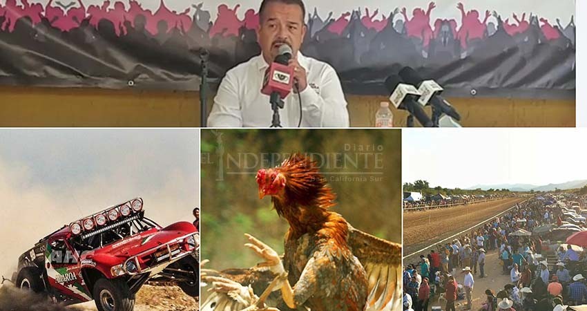 Carreras y peleas de gallos serán “patrimonio cultural”: Candidato independiente
