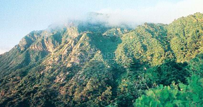 Opacidad en el plan sectorial de Medio Ambiente 2015-2018: Niparajá–UABCS Opacidad en el plan sectorial de Medio Ambiente 2015-2018: Niparajá–UABCS