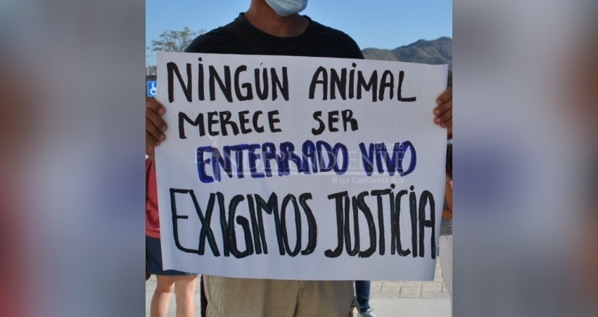 Actor y ambientalista convoca a marcha para exigir justicia por "Luna"