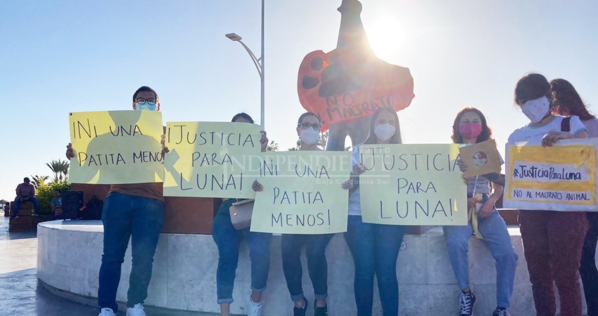 Hoy marchan en La Paz para exigir justicia por la muerte de Luna
