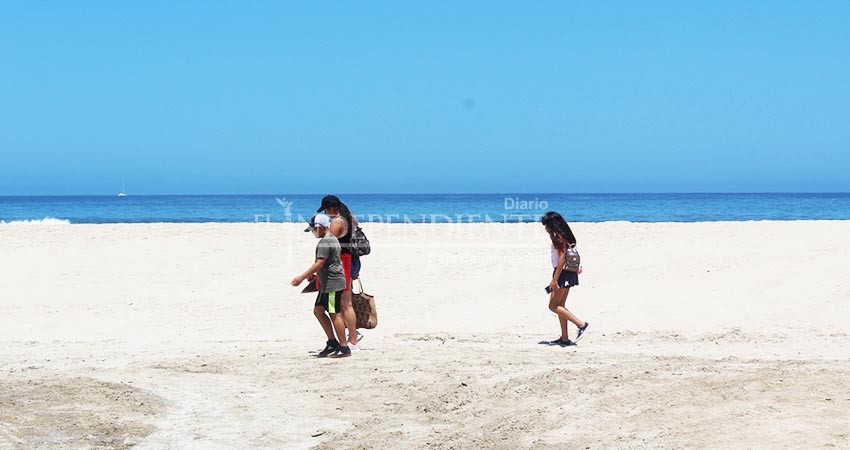 Zofemat reducirá 50% de los recursos por concesiones a municipios costeros Zofemat reducirá 50% de los recursos por concesiones a municipios costeros