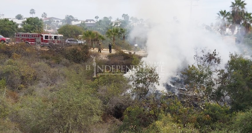 Incendiar para desarrollar, nueva estrategia de empresarios inmobiliarios en Los Cabos Incendiar para desarrollar, nueva estrategia de empresarios inmobiliarios en Los Cabos