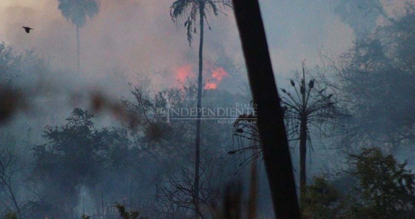 ¡Otra vez! Arde en llamas el estero josefino ¡Otra vez! Arde en llamas el estero josefino