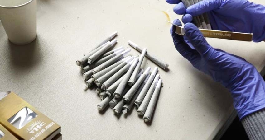 Un 'toque' para el dolor: Washington ofrece mariguana gratis si te vacunas